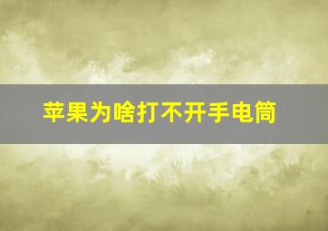 苹果为啥打不开手电筒