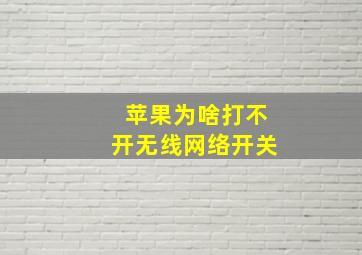 苹果为啥打不开无线网络开关