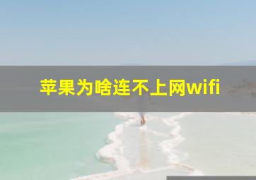 苹果为啥连不上网wifi