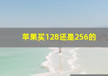 苹果买128还是256的