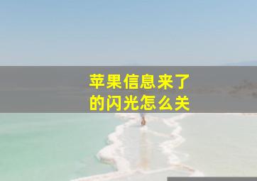 苹果信息来了的闪光怎么关