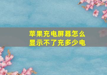 苹果充电屏幕怎么显示不了充多少电