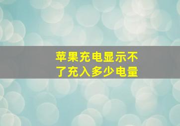 苹果充电显示不了充入多少电量