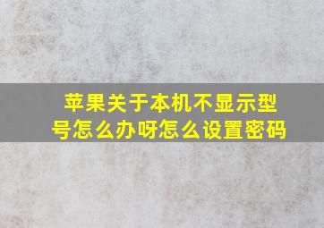 苹果关于本机不显示型号怎么办呀怎么设置密码