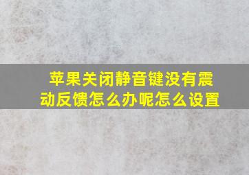 苹果关闭静音键没有震动反馈怎么办呢怎么设置