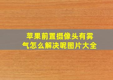 苹果前置摄像头有雾气怎么解决呢图片大全