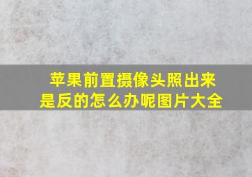 苹果前置摄像头照出来是反的怎么办呢图片大全