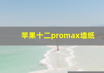 苹果十二promax墙纸