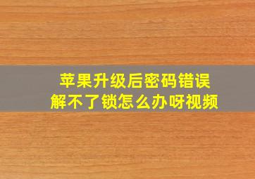 苹果升级后密码错误解不了锁怎么办呀视频