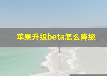 苹果升级beta怎么降级