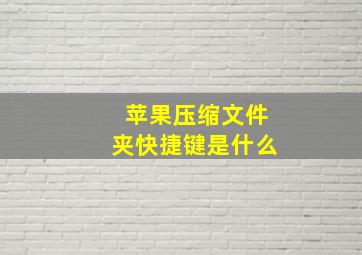 苹果压缩文件夹快捷键是什么