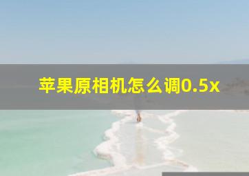 苹果原相机怎么调0.5x