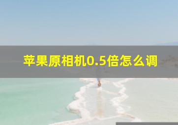 苹果原相机0.5倍怎么调