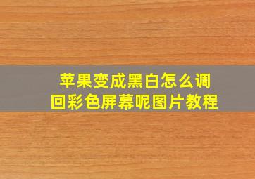 苹果变成黑白怎么调回彩色屏幕呢图片教程