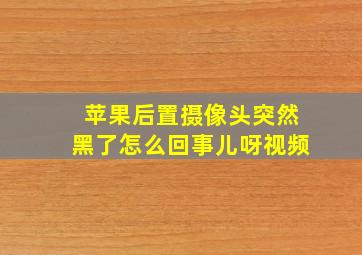 苹果后置摄像头突然黑了怎么回事儿呀视频