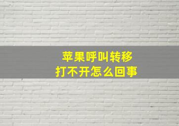 苹果呼叫转移打不开怎么回事