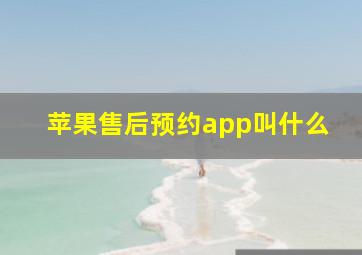 苹果售后预约app叫什么