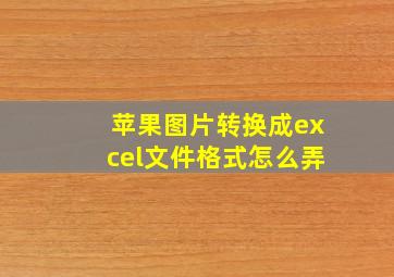 苹果图片转换成excel文件格式怎么弄