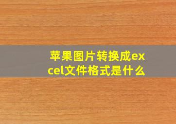 苹果图片转换成excel文件格式是什么