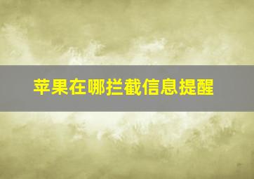 苹果在哪拦截信息提醒