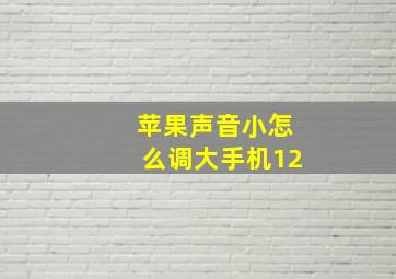 苹果声音小怎么调大手机12