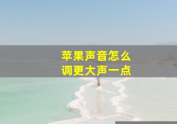 苹果声音怎么调更大声一点