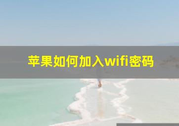 苹果如何加入wifi密码