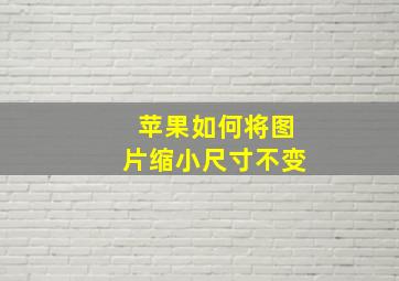 苹果如何将图片缩小尺寸不变