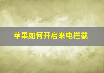 苹果如何开启来电拦截