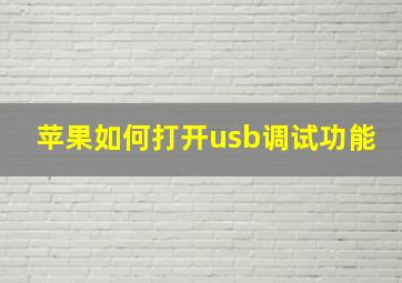 苹果如何打开usb调试功能