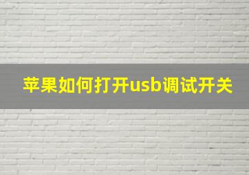 苹果如何打开usb调试开关