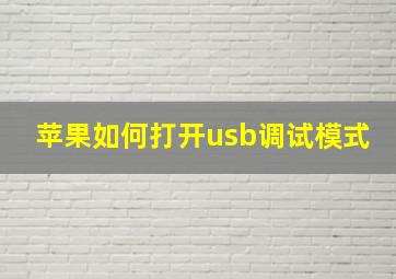 苹果如何打开usb调试模式