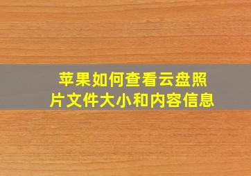 苹果如何查看云盘照片文件大小和内容信息