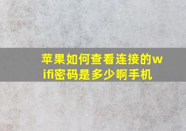 苹果如何查看连接的wifi密码是多少啊手机