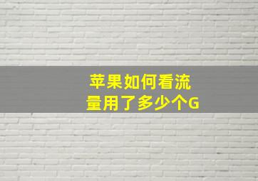 苹果如何看流量用了多少个G