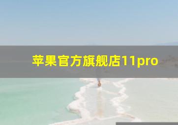 苹果官方旗舰店11pro