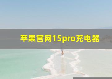 苹果官网15pro充电器