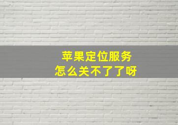 苹果定位服务怎么关不了了呀