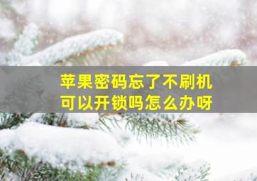 苹果密码忘了不刷机可以开锁吗怎么办呀