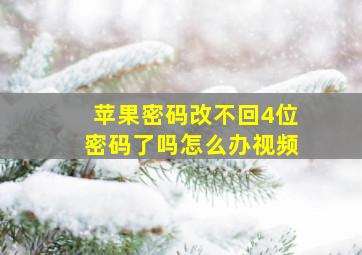 苹果密码改不回4位密码了吗怎么办视频