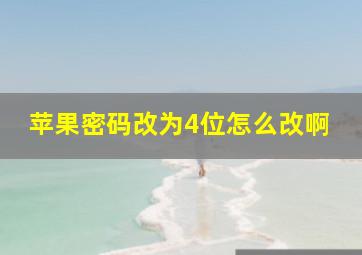 苹果密码改为4位怎么改啊