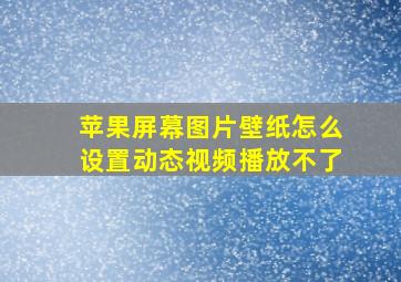 苹果屏幕图片壁纸怎么设置动态视频播放不了