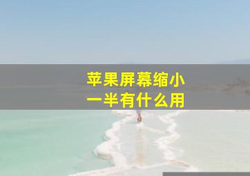 苹果屏幕缩小一半有什么用