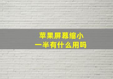 苹果屏幕缩小一半有什么用吗