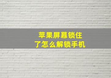 苹果屏幕锁住了怎么解锁手机