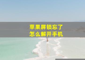 苹果屏锁忘了怎么解开手机