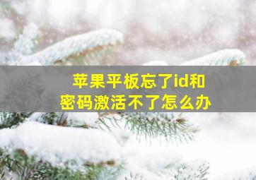 苹果平板忘了id和密码激活不了怎么办