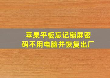 苹果平板忘记锁屏密码不用电脑并恢复出厂