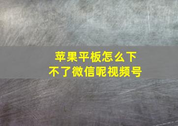 苹果平板怎么下不了微信呢视频号