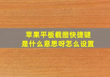 苹果平板截图快捷键是什么意思呀怎么设置